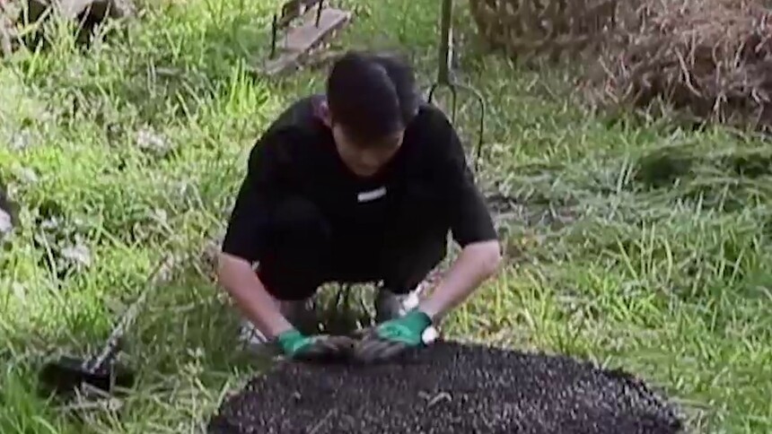 张翰吴永恩徒手堆羊粪！超细腻手工堆叠艺术品？