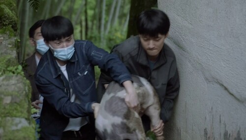 王校长去高铭宇家遇到抓猪