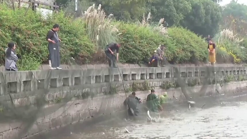 四川泸州：清水养鱼 生态兴村