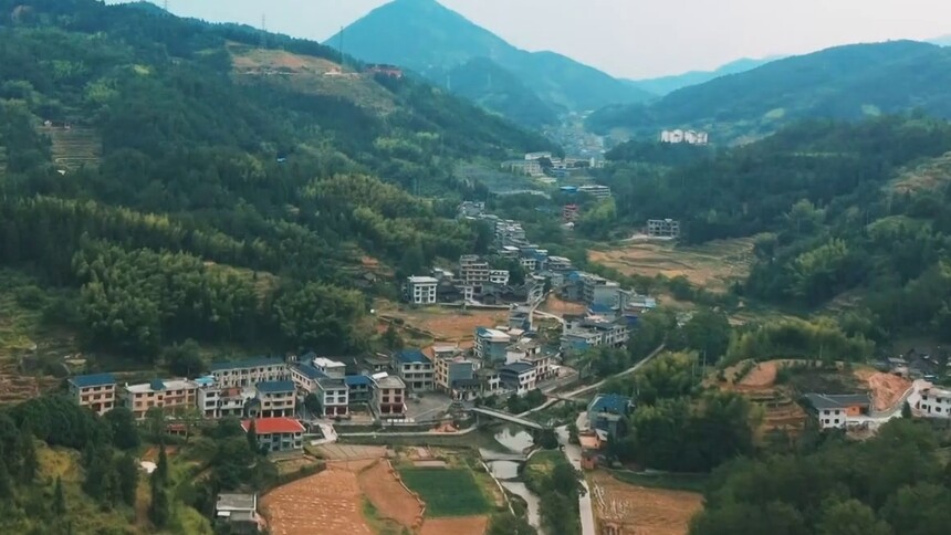 网络电影 乡村振兴·我们在一起