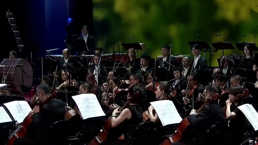 中国节气文化音乐短视频《聆听二十四节气之声》 — 雨水•鸿雁归