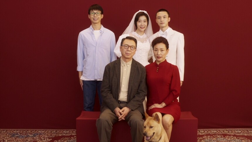《忠犬八公》全新预告 “不舍离别”直指国人陪伴痛点