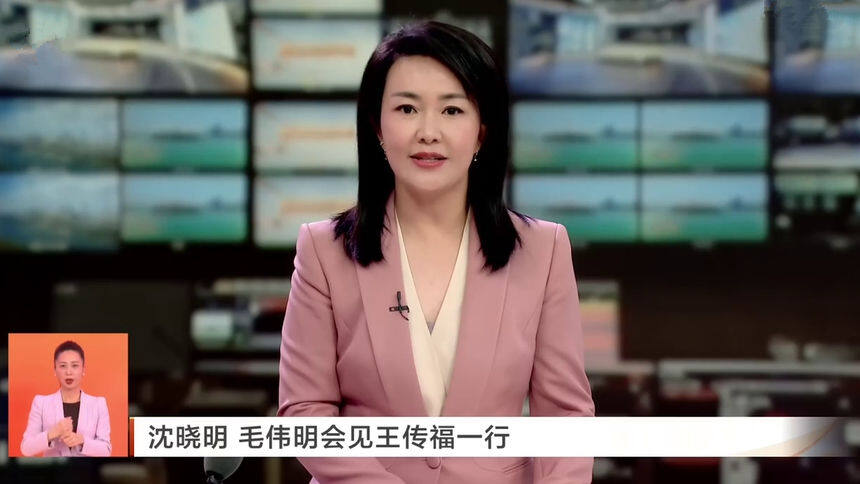 沈晓明 毛伟明会见王传福一行