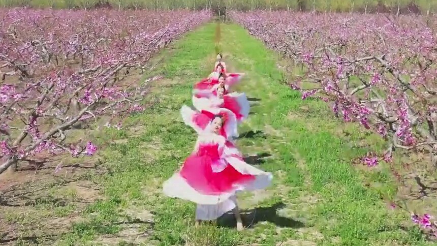 “赏花经济”引客来 大运河畔成为网红打卡地