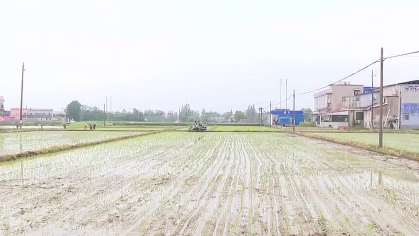 抢抓雨后田间管理 全力保障春耕生产