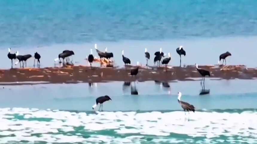千城胜景｜吉林双阳：鹤舞双阳湖