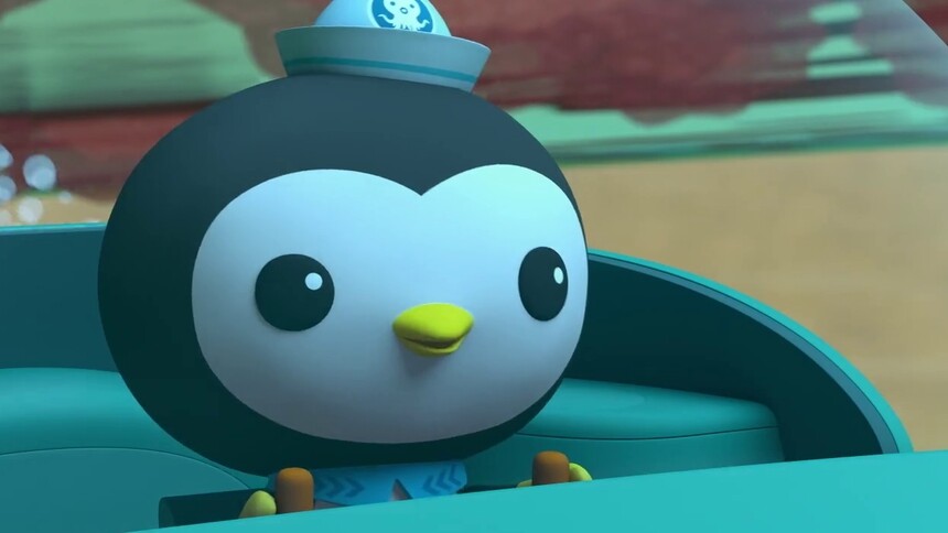 看皮医生如何说服寻找食物的鲸鲨