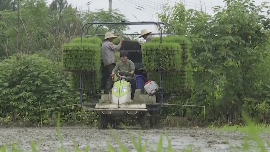 2023湖南“三支一扶”计划招募600人 鼓励毕业生走进基层服务农村