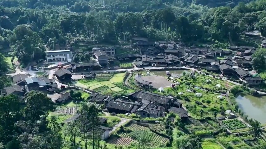 千城百县看中国｜福建明溪:“浪子”回村 旺仔的山野梦