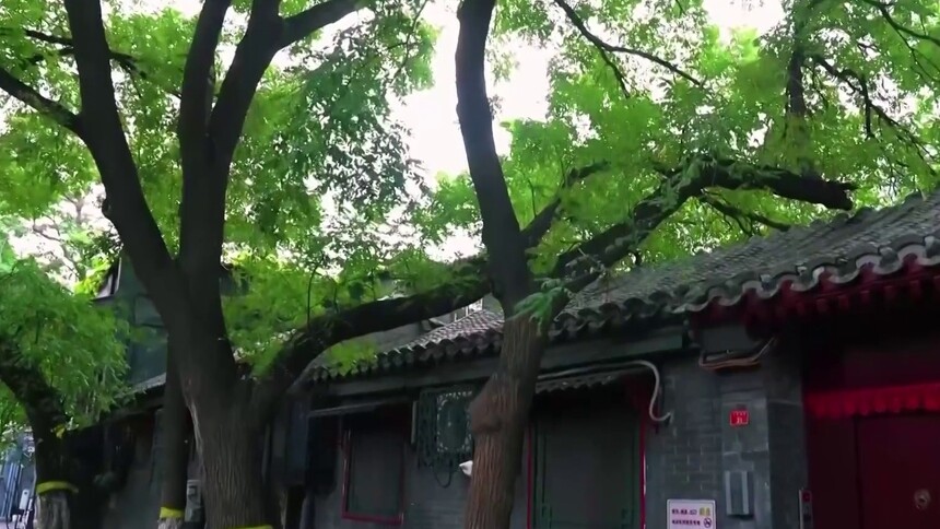 文华胡同：背街小巷治理见成效