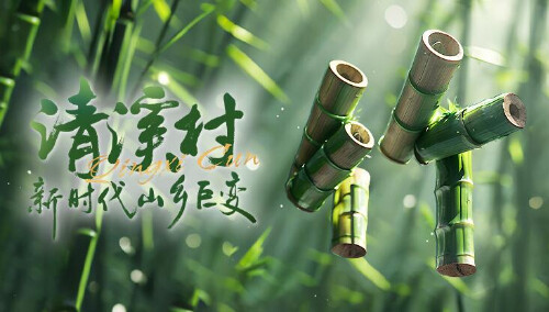清溪村——新时代山乡巨变 第五集：茂竹绘“丰”景