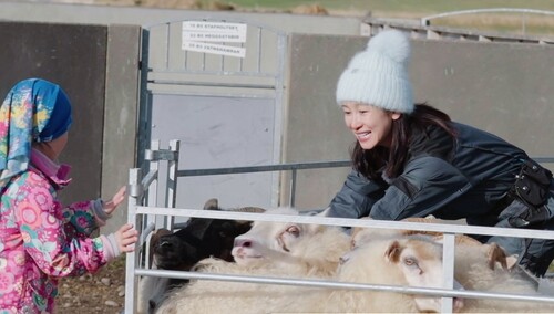 以理服“羊”？秦海璐抓羊尝试“兽语”交流！