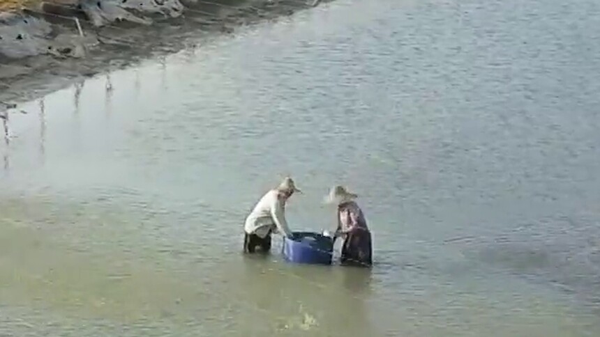 香港青年李丽华：乘着小鱼闯新路