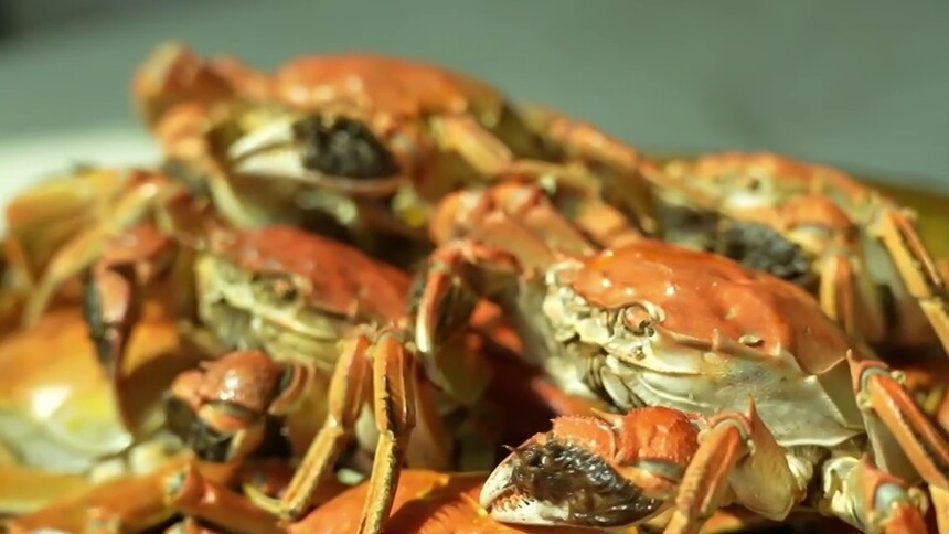“蟹”逅金秋 抢“鲜”上市