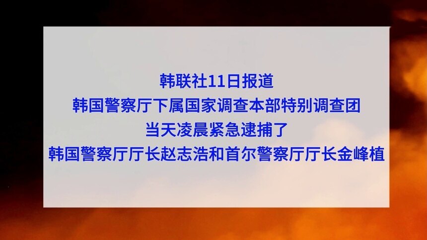 韩国警察厅厅长赵志浩和首尔警察厅厅长金峰植被逮捕