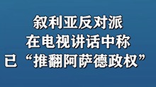 叙利亚反对派在电视讲话中称已“推翻阿萨德政权”