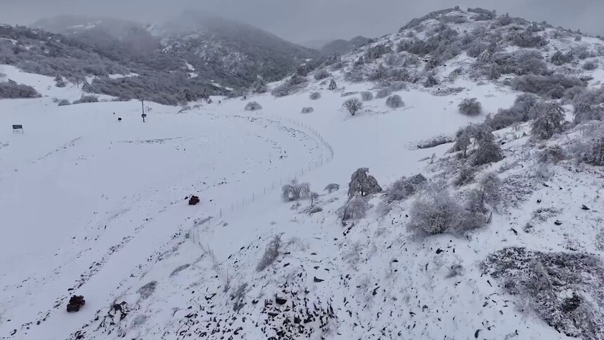 重庆巫溪：瞰秦巴山间“林海雪原”