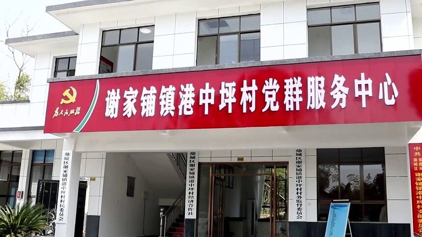 常德市港中坪村：为基层减负 促乡村振兴