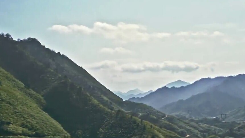 千城胜景｜云南大关：筇竹原始森林秘境美