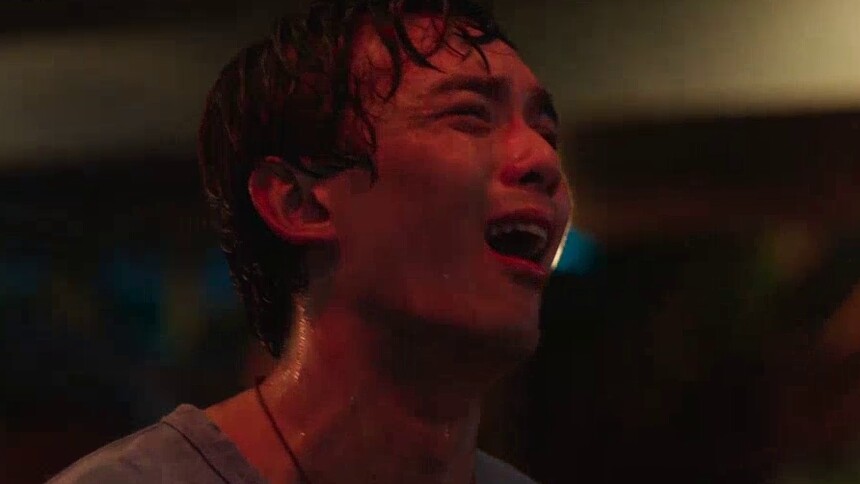 《草木人间》终极预告 吴磊深入传销泣血呐喊“妈你醒醒吧”