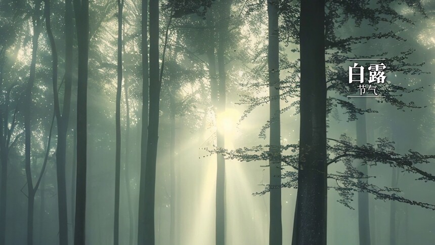 第二次公演主题：白露白露 云开见路