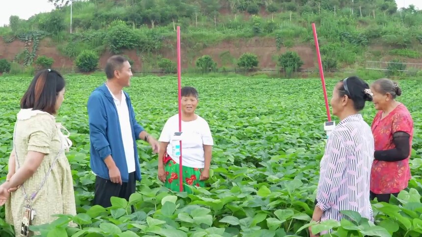 四川仁寿：田间管理要抓好 生物防控有妙招