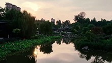 千城百县看中国｜河北栾城：晨光里的三苏园