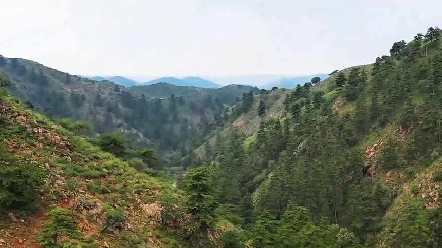 千城百县看中国｜内蒙古：云海松涛绿浪涌