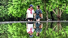 “格桑花”逐梦大湾区：藏族闺蜜的青春扎根路