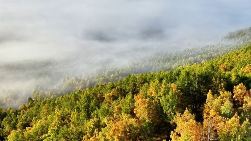 瞰中国｜内蒙古：阿尔山秋色美成童话