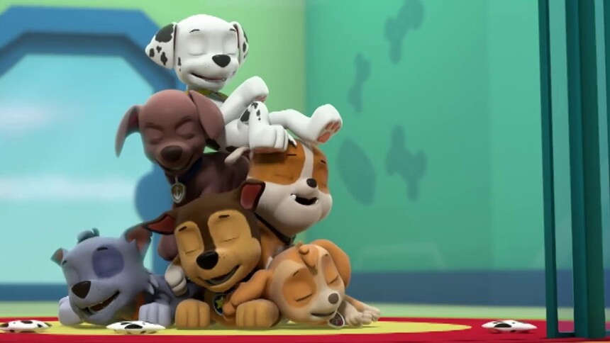 【毛毛搞笑日常】斑点飞了