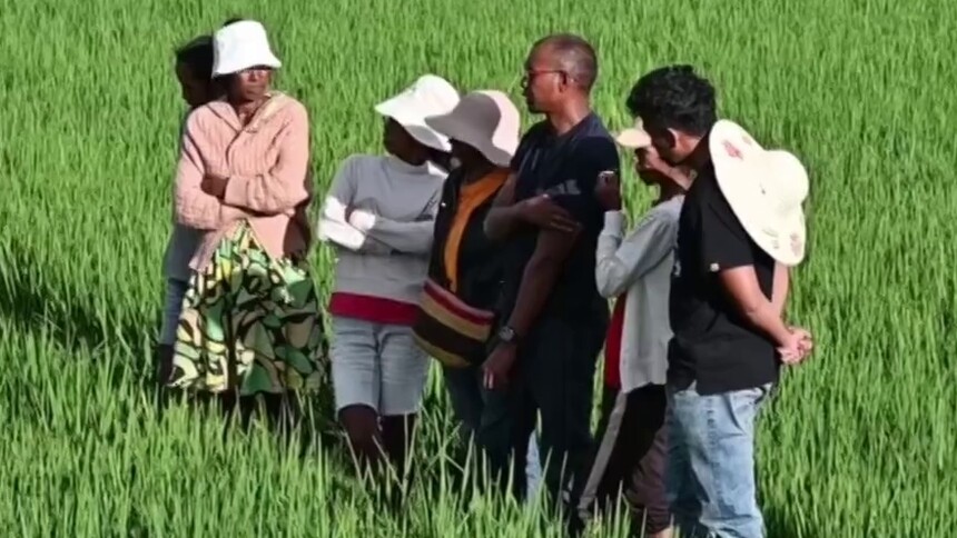 播撒希望的种子——“非洲母亲新农场”托起马达加斯加妇女与家庭新未来