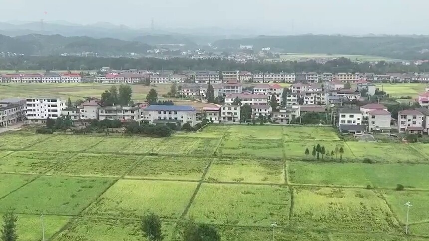 江西万载：稻渔共作绘新景 一田两收富乡村