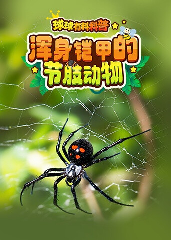球球有料科普：浑身铠甲的节肢动物