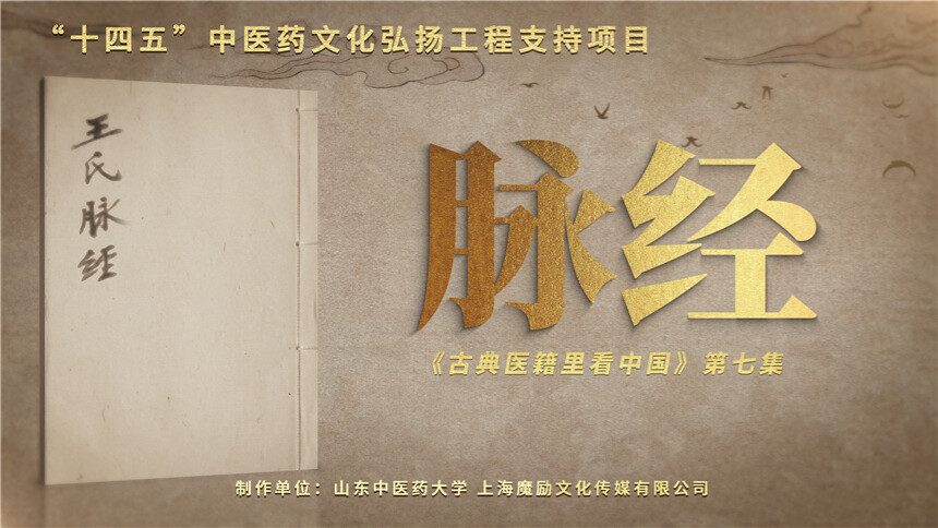 古典医籍里看中国 第7集：脉经——把脉说明书