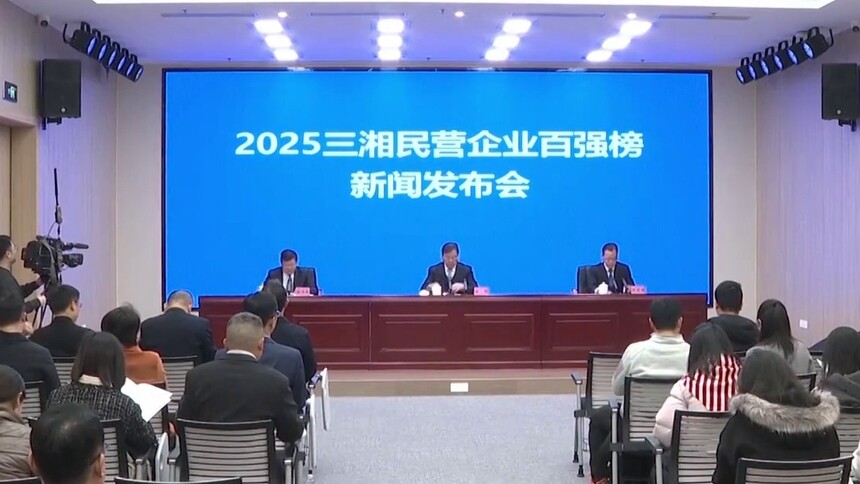 2025三湘民营企业百强榜发布