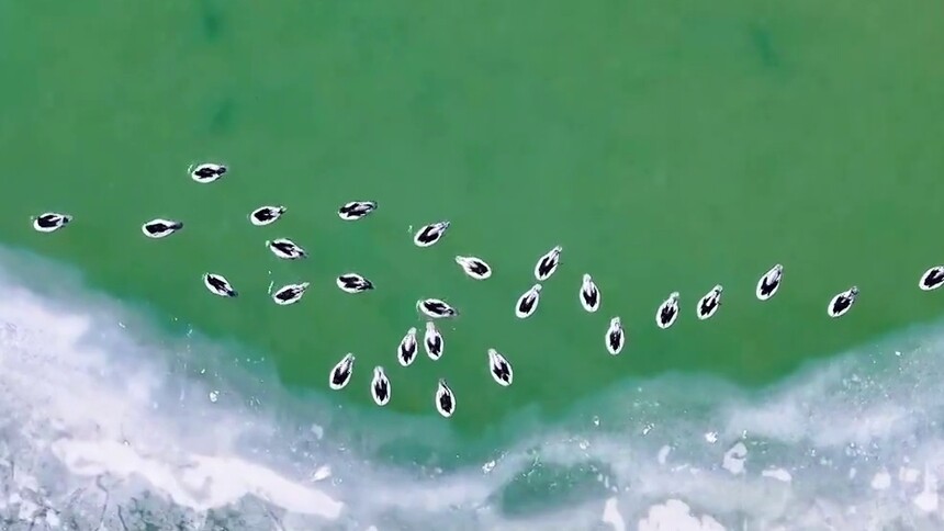 青海：地表水优良率持续保持100% 守护“中华水塔”成效显著