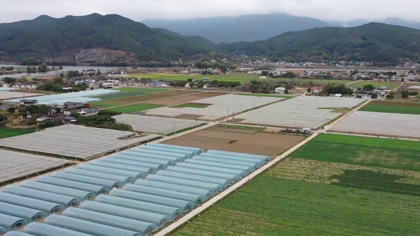 广东梅州：全域土地综合整治促乡村发展
