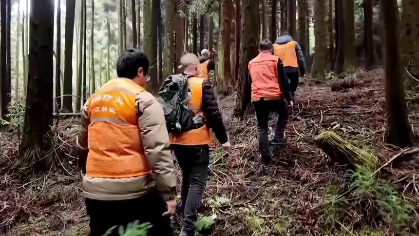重庆：“森林医生”翻山越岭 守护森林健康