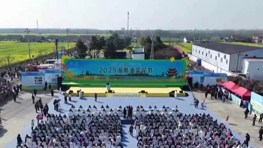 风风火火振消费 油菜花盛开的一周时间 这个小镇增收超30万元