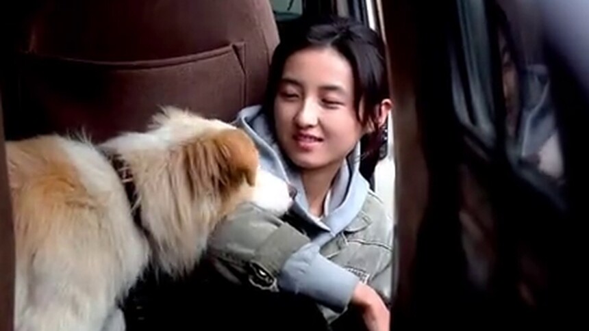 《我会好好的》告别主题特辑 收获希望与力量继续前行
