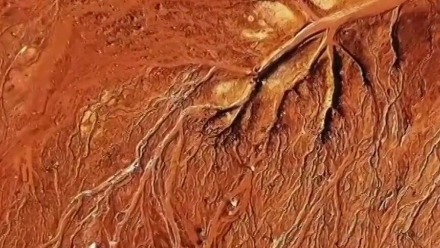 秀我中国｜鬼斧神工的自然画作 新疆布尔津现“大地之树”