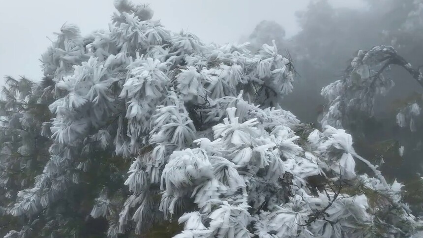 云南澄江：梁王山现雾凇雅韵
