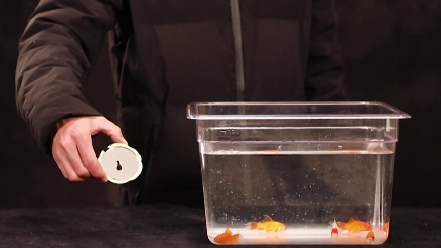 漂浮的简笔画实验原理是什么？