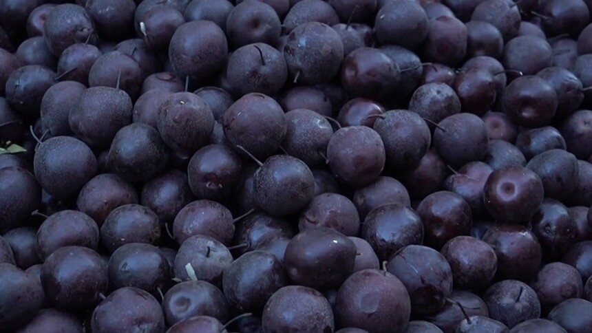 在家里是否也能够制作冻梨呢？