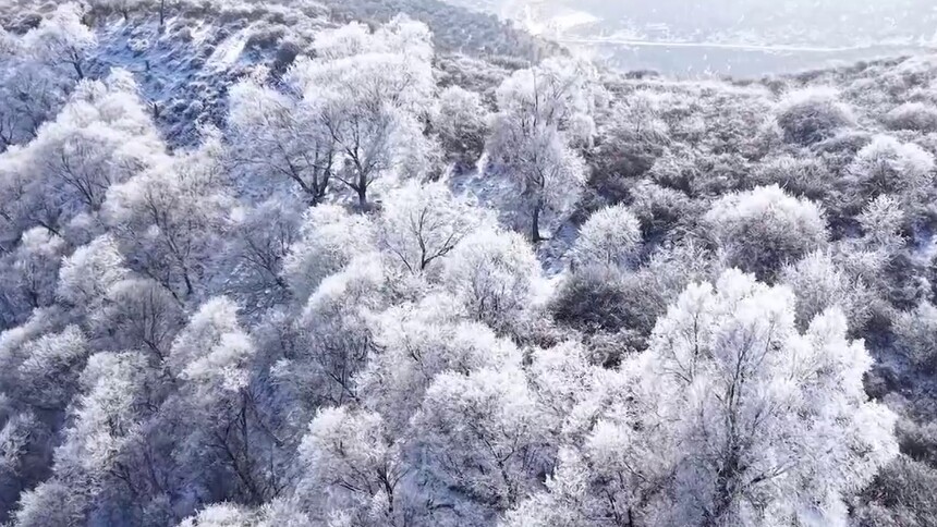 青海循化：雪后雾凇扮靓冬日高原