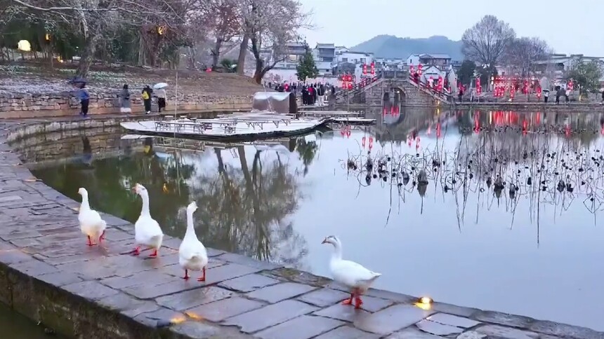 安徽黄山：乡村迎冬雪