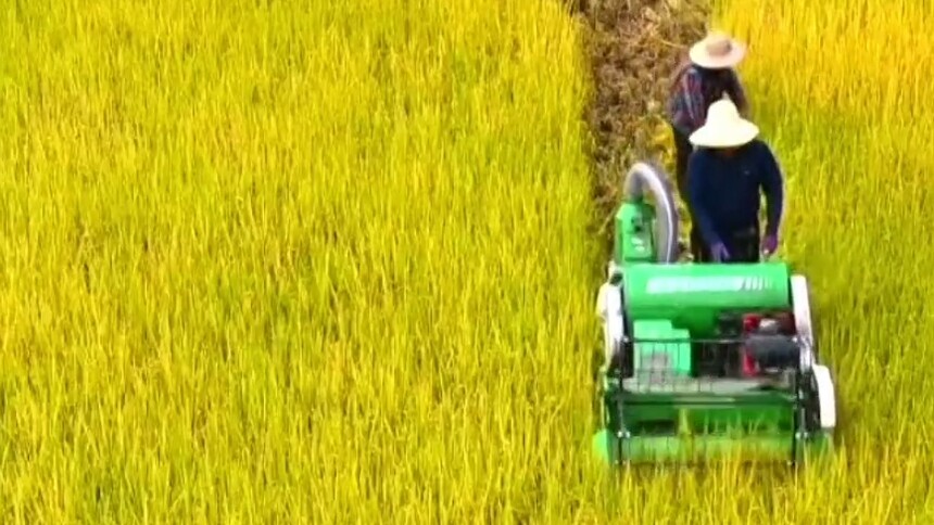 数览成绩单·2025新成就｜成绩喜人，五个角度看2025年“三农”发展新变化