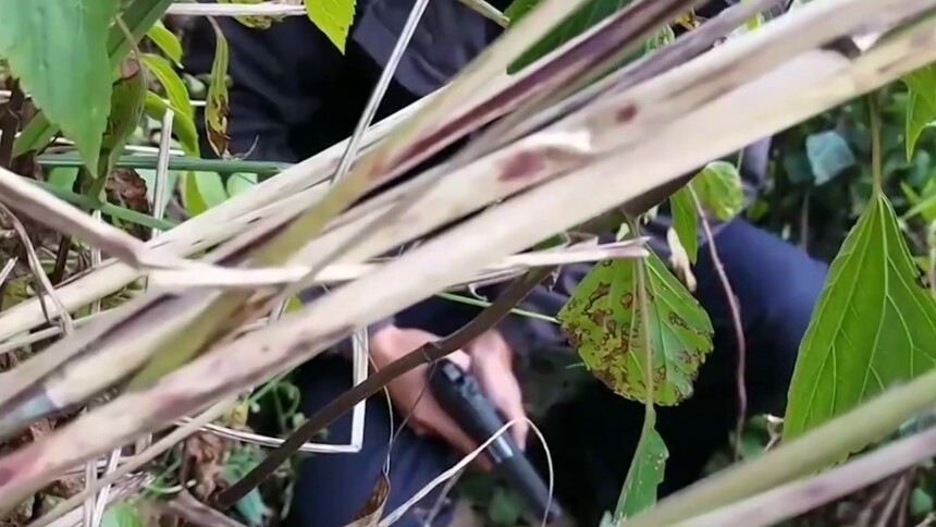 中国网事·感动2025｜安晓华：匿于人海 守一方平安