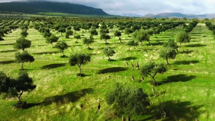 澳大利亚旅游局局长罗宾·麦克：对中国旅游市场“非常乐观”